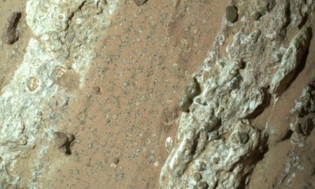 گِل‌سنگ‌های عجیب مریخ ممکن است قوی‌ترین سرنخ‌ها از حیات باستانی را در خود داشته باشند!