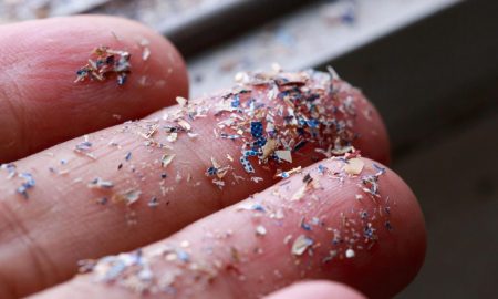 میکروپلاستیک‌ها ممکن است باعث آسیب مغزی شبیه آلزایمر شوند!