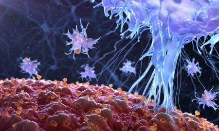 راهکار جدید دانشمندان برای ترمیم سریع‌تر بافت‌ها، برنامه‌ریزی مجدد سیستم ایمنی بدن با تحریک الکتریکی!