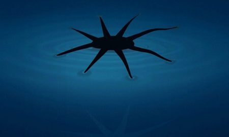 مهندسان ربات‌های نرمی ساخته‌اند که می‌توانند روی آب راه بروند!