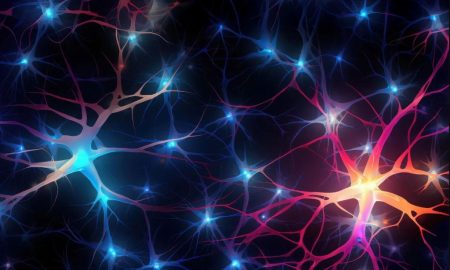 بیماری روانی از سلول‌های مغز آغاز می‌شود!