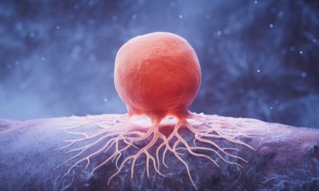 دانشمندان اولین داروی نابودکننده RNA سرطان را تولید کردند!