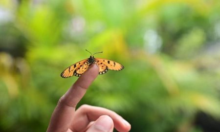 یک مطالعه جدید: انسان برای طبیعت تکامل یافته، نه شهرها!