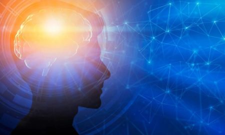 کشف ۵ دوره پنهان ساختار مغز انسان از تولد تا پیری!