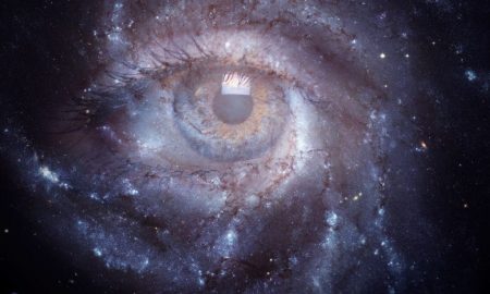 دانشمندان "هدف" تکاملی آگاهی را شناسایی کردند!