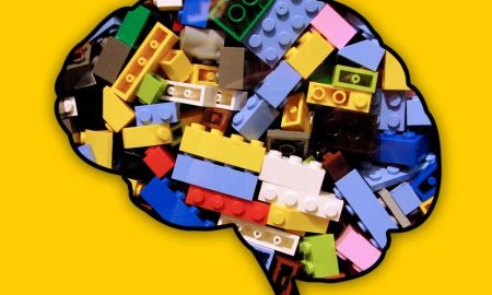 مغز شما یک میان‌بر یادگیری دارد که هوش مصنوعی نمی‌تواند کپی کند!