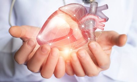 این سیگنال مغزی پنهان ممکن است از قلب در برابر پیری محافظت کند!