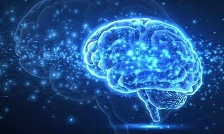 شگفتی دانشمندان از شباهت خیره‌کننده مغز به هوش مصنوعی