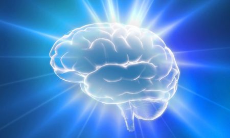 نوسانات روزانه مغز؛ عاملی که می‌تواند ۴۰ دقیقه از بازدهی شما را هدر دهد!