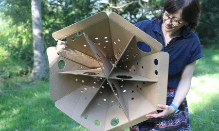 غلاف‌های مقوایی؛ جایگزینی برای لانه‌های سوخته جانوران