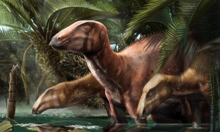 کشف فسیل‌های چند دایناسور، فرضیه‌های دانشمندان درباره ایتالیا را تغییر داد