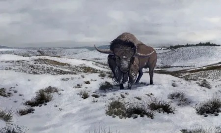 محققان: یکی از عوامل افزایش آتش‌سوزی‌ها در طبیعت، انقراض گیاه‌خواران غول‌پیکر بوده است