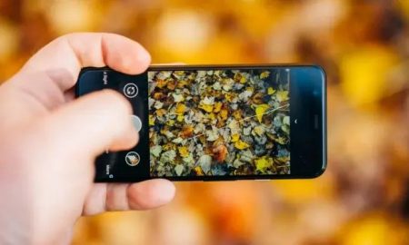 قابلیت های جدید گوگل برای عکاسی با گوشی های پیکسل ۸ و ۸ پرو