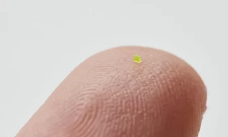 برند MSCHF کیفی تولید کرده که تنها با میکروسکوپ دیده می‌شود