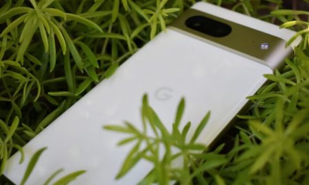 معرفی بهترین برنامه های اندرویدی برای شناسایی گیاهان