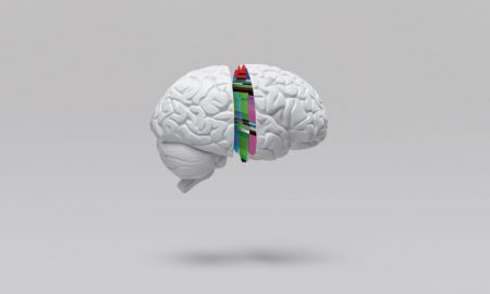 به یاد آوردن یک اتفاق تاثیر بیشتری بر امواج مغزی نسبت به وقوع خود اتفاق دارد!