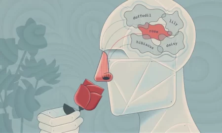 این هوش مصنوعی رایحه‌ها را بهتر از انسان‌ها تشخیص می‌دهد!