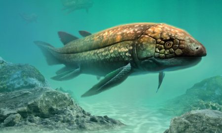 فسیل یک ماهی ریه‌دار مربوط به 210 میلیون سال پیش کشف شد!