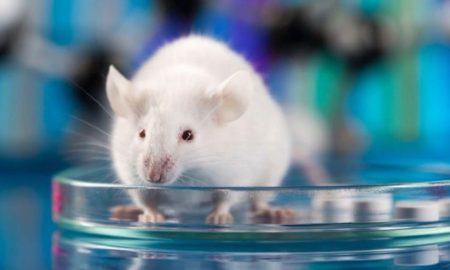 تابش‌های تراهرتز 6G ممکن است خطراتی برای سلامت باروری مردان ایجاد کند!