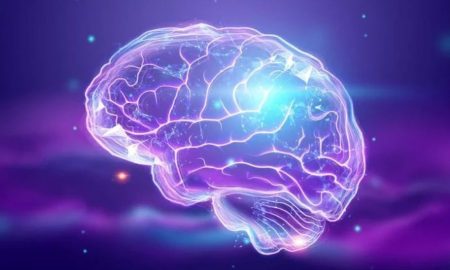 آیا می‌توانیم حافظه‌ها را مهندسی کنیم؟ تلاشی برای درمان آلزایمر!