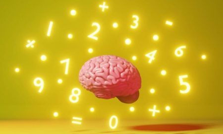 کشف ناحیه پنهانی در مغز که منشأ اولیه توانایی‌های ریاضی ما را نشان می‌دهد!