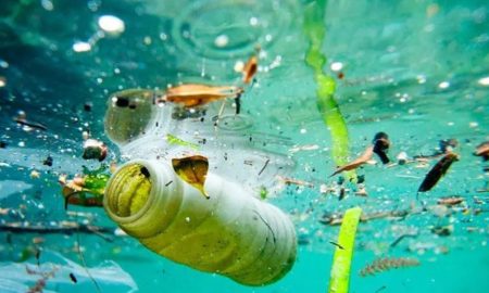 دانشمندان پلاستیکی ساخته‌اند که 15 بار سریع‌تر از کاغذ در دریا تجزیه می‌شود!