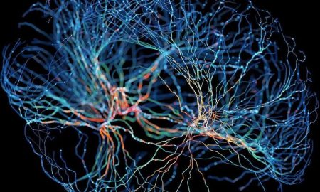 فناوری جدید نقشه‌برداری مغز می‌تواند درمان اختلالات عصبی را متحول کند!