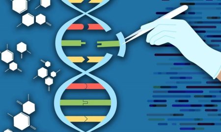 DNAهای کشف شده در آفریقای جنوبی ثبات ژنتیکی این ناحیه را نشان می‌دهد!