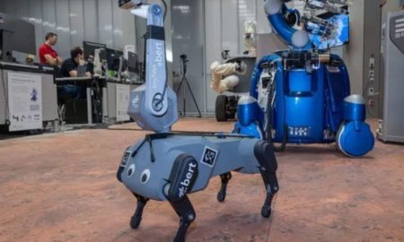 سگ رباتیک با تقلید از الگوهای حرکت طبیعی انسان، کارآمدتر عمل می‌کند!