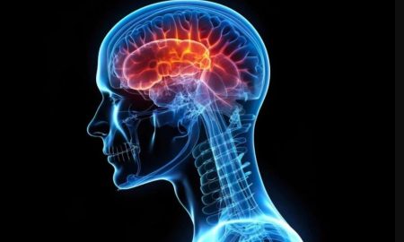 دانشمندان کشف کردند که چگونه آسیب‌های مغزی می‌تواند منجر به آلزایمر شود!